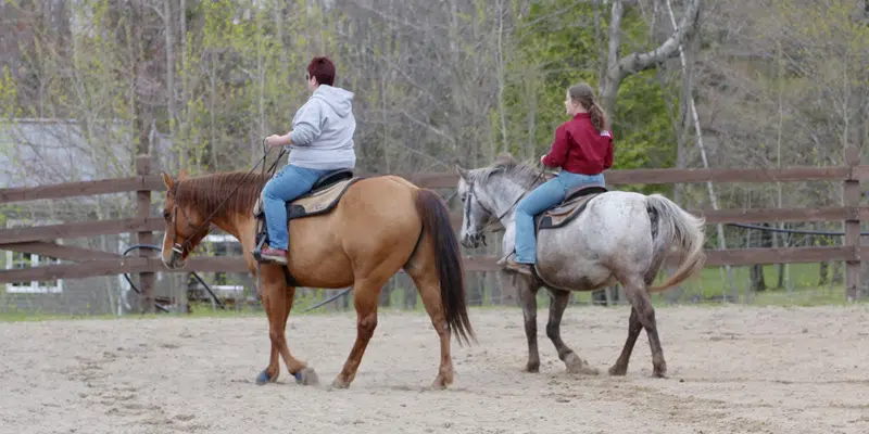 Service d'équitation thérapeutique.